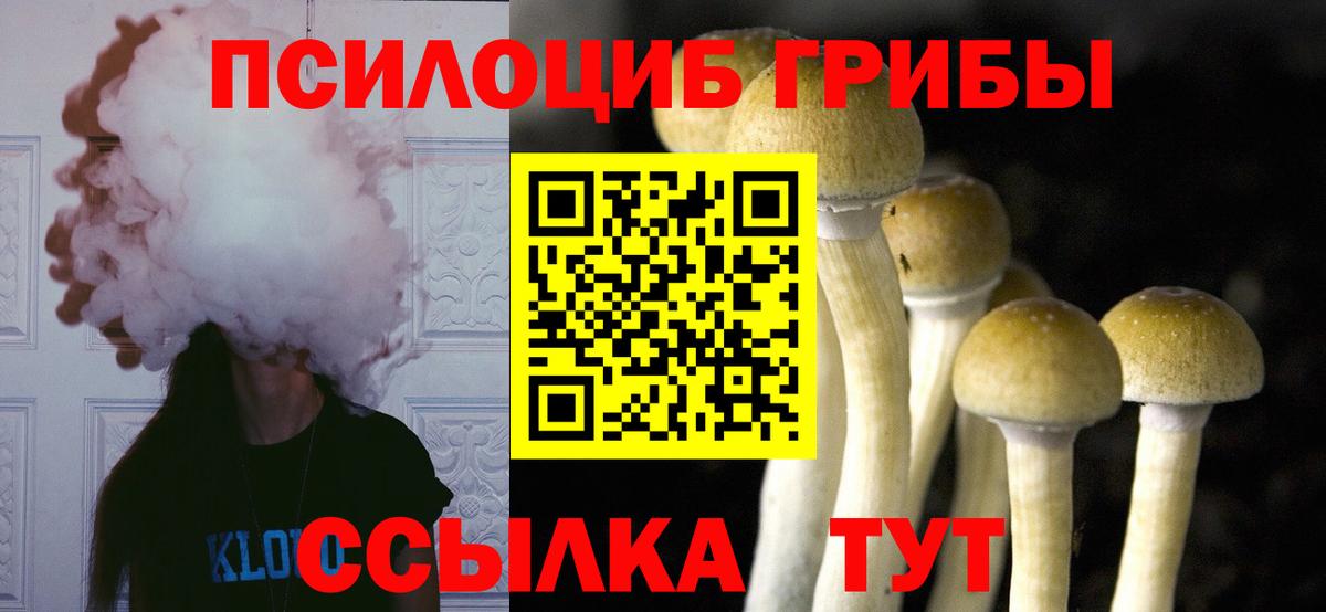 Егорьевск  Псилоцибиновые грибы мухоморы  Вход с VPN  Псилоцибиновые грибы Psilocybe 